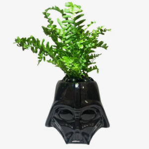 Maceta Darth Vader Con Helecho