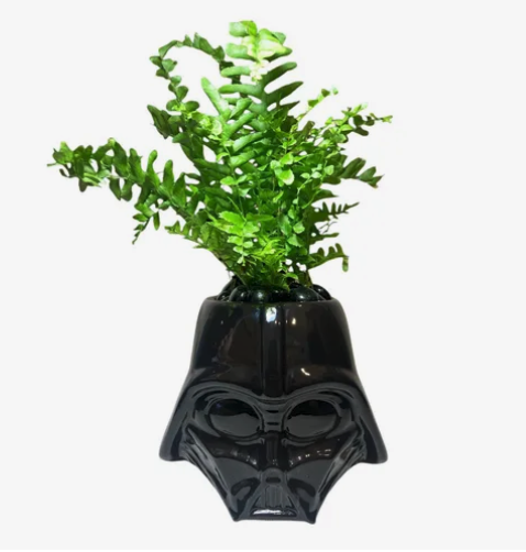 Maceta Darth Vader Con Helecho
